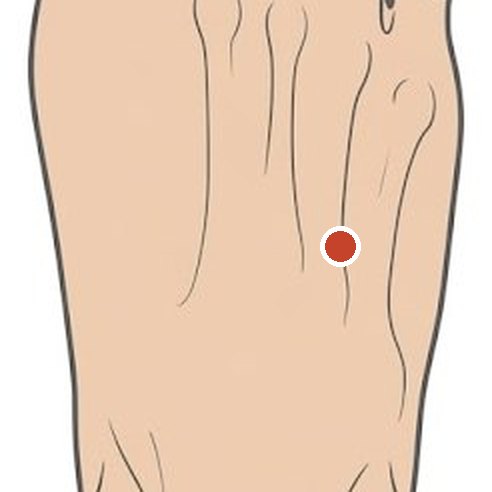 족임읍 위치